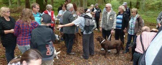 Waldspaziergang 2014