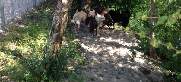 Badespaß in der Freizeit