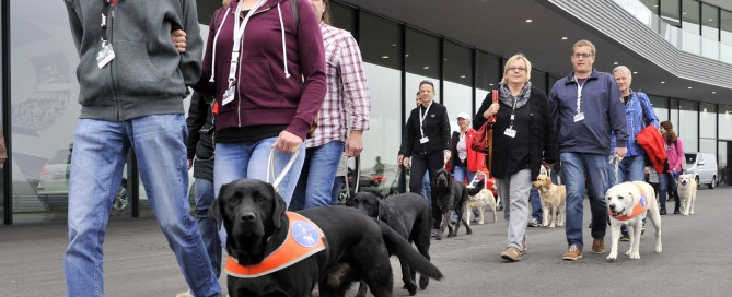 Führhundhaltertreffen 2014