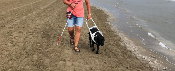 Dustin läuft mit Führhund Una am Strand entlang