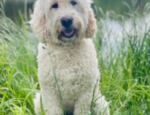 Familie F. mit „Lotti“